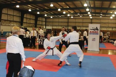 2014-AMACrnd1kumite.jpg